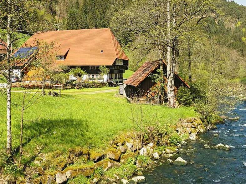 Gaestehaus Ursula Hornberg Eksteriør bilde