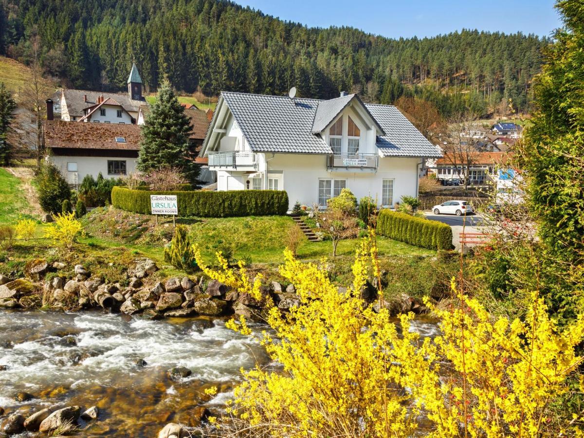 Gaestehaus Ursula Hornberg Eksteriør bilde