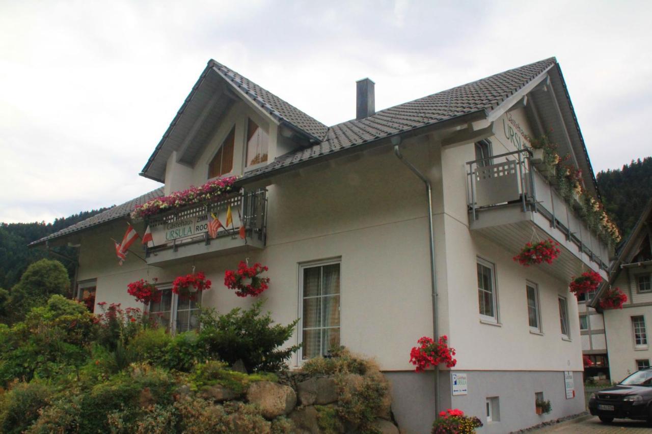Gaestehaus Ursula Hornberg Eksteriør bilde